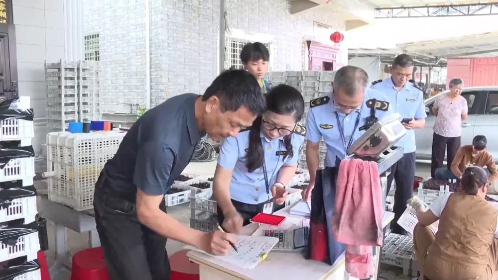 点击查看大图 点击查看大图