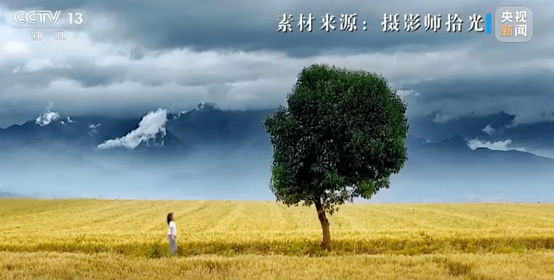 点击查看大图