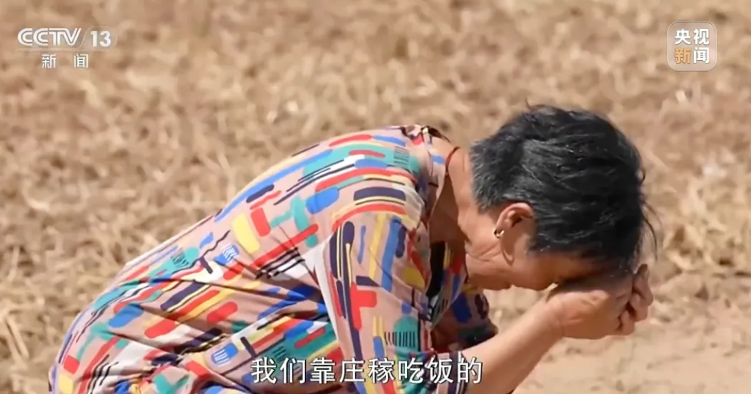 点击查看大图